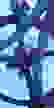item-100245614=6