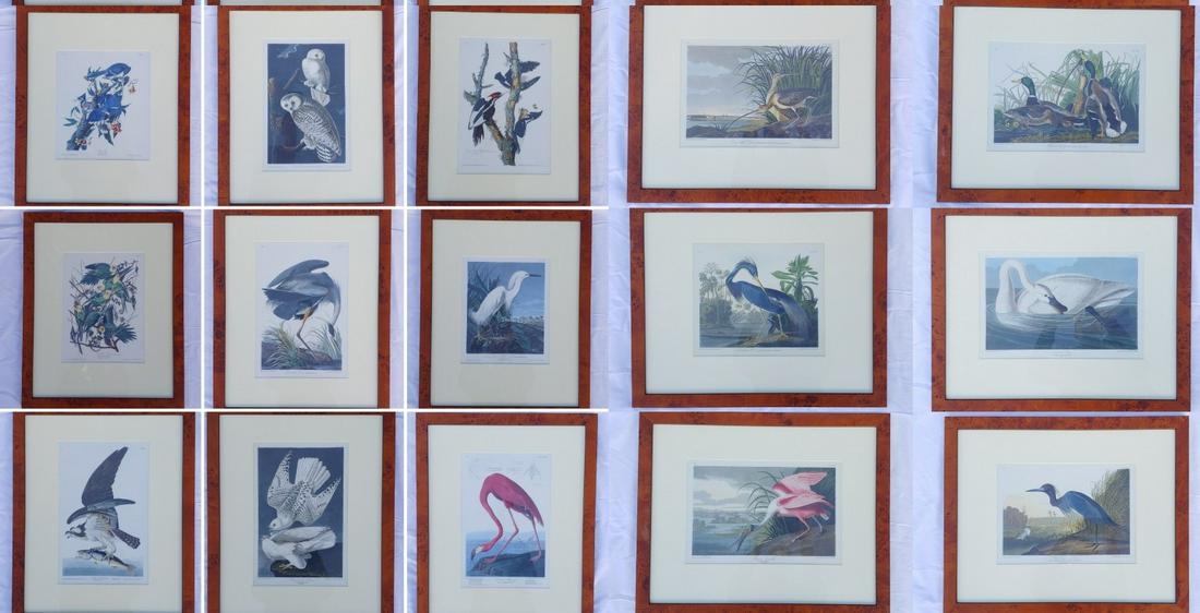 Lot of 16 Audubon framed prints (1 of 20)