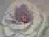 item-133859633=2