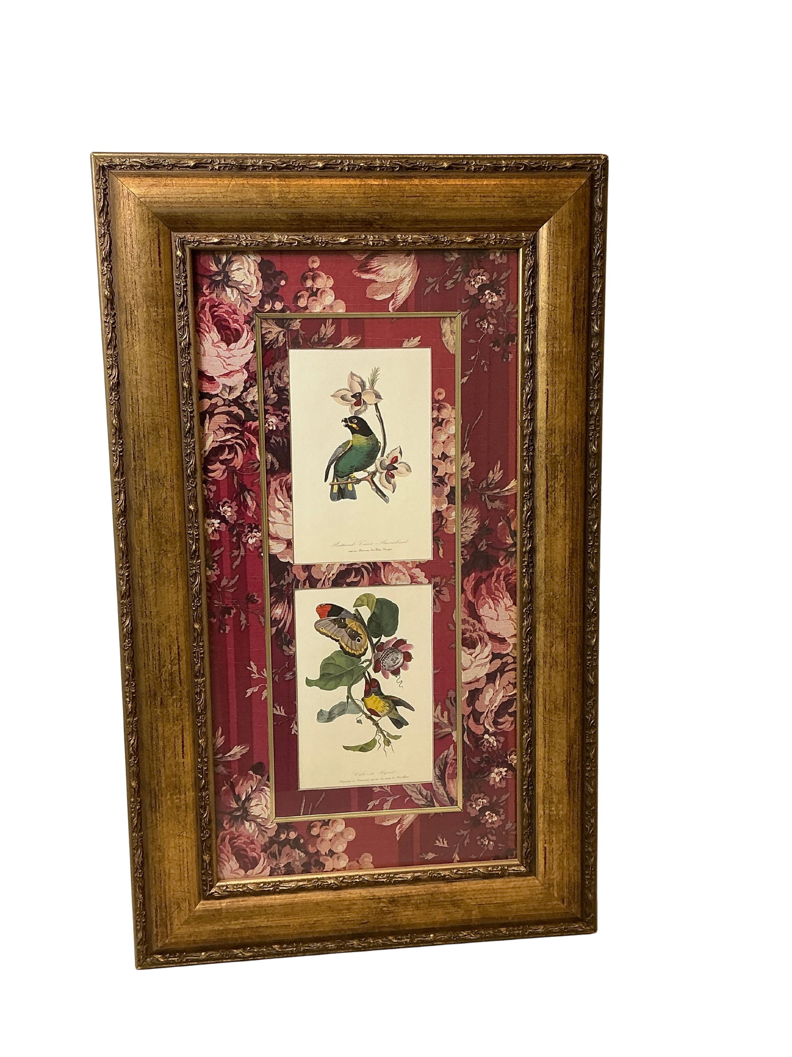 Framed Vintage Botanical Bird and Butterfly Prints (1 of 7)