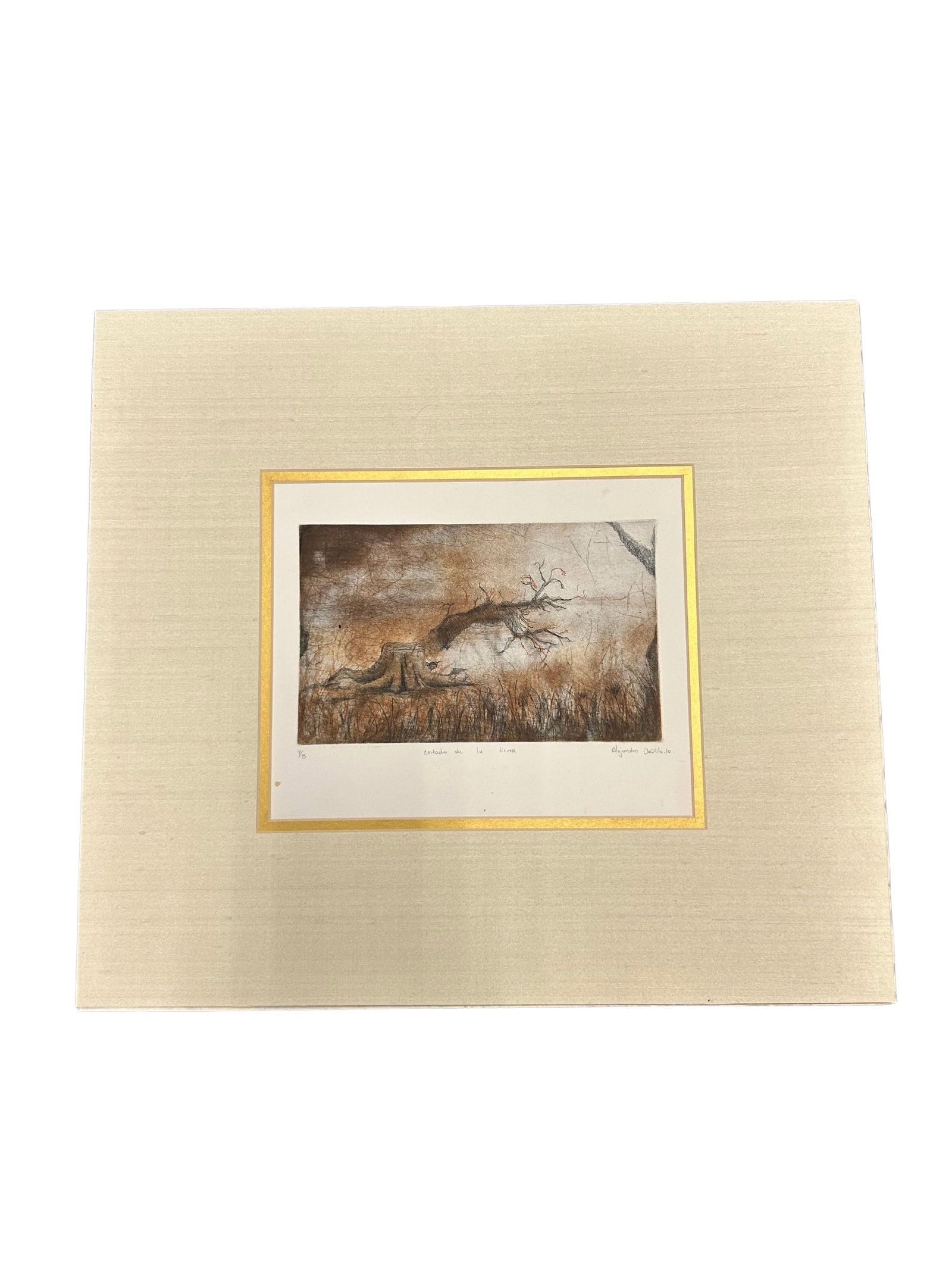 Alejandro Castillo, Cortado de la Tierra, 2010, 1/8: This piece titled 'Cortado de la Tierra' by Alejandro Castillo (2010) is a striking visual artwork featuring a muted, earthy palette and a haunting depiction of a landscape. The piece is numbered 1/8,