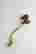 item-114336542=4