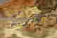 item-118054317=2
