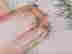 item-120253733=4