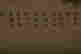item-120253827=3