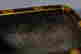 item-121298548=3