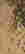 item-121298823=4