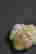 item-96227123=10