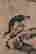 item-99959961=3