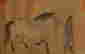 item-102287389=10