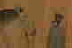 item-102287389=11