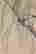 item-112407371=4