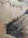 item-116465457=7