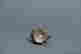 item-118808427=7