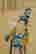 item-126742543=3