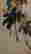 item-130659040=4