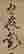 item-130659077=3