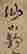 item-130659077=6