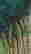 item-130659078=5