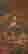 item-130659101=2