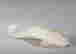 item-130659198=4