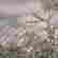 item-130659350=7