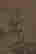 item-134147458=7