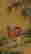 item-134147809=11