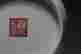 item-134245629=9