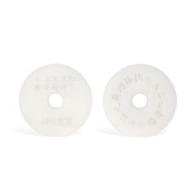 A SET OF HETIAN WHITE JADE CARVED 'FLOWERS, SCHOLAR UNDER PINE WITH POETRY' BI DISCS