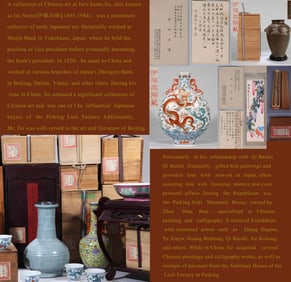 SPECIAL INTRODUCTION, NON SALEABLE PRODUCTS