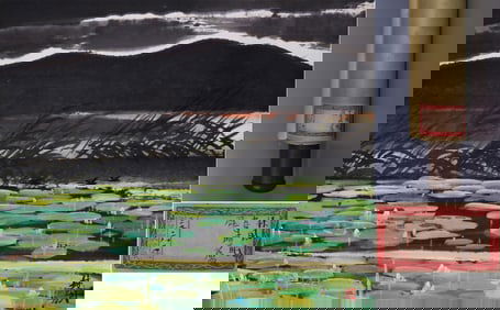 LIN FENGMIAN (1900-1991), ATTRIBUTED TO, WILD GEESE IN REED POND