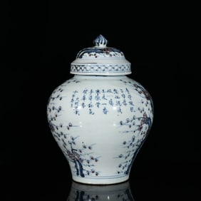 A BLUE AND WHITE WITH UNDERGLAZED RED 'PRUNUS BLOSSOM' COVERED JAR