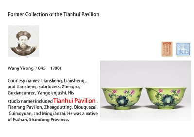 A PAIR OF ENAMEL 'ROCKWORK AND FLOWERS' BOWLS