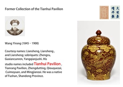 AN IRON-RED WITH RESERVED 'DRAGON AMONG FLOWERS' COVERED JAR