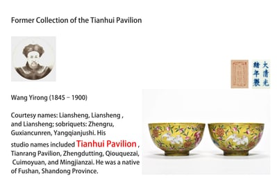 A PAIR OF YELLOW-GROUND FAMILLE ROSE 'BAT AND SHOU ' BOWLS
