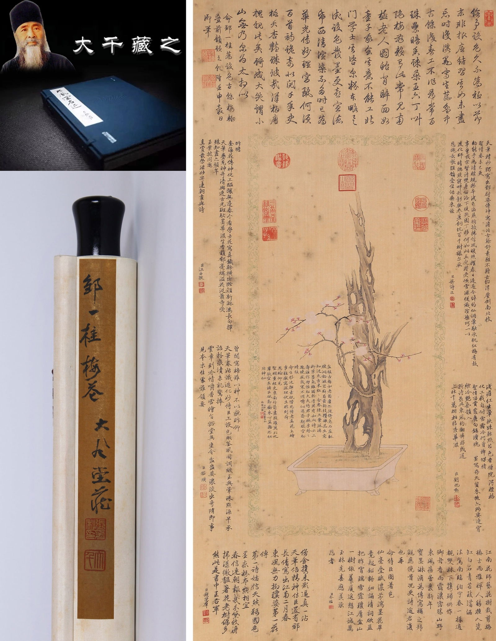 ZOU YIGUI (1688-1772), ATTRIBUTED TO, PLUM BLOSSOMS: ZOU YIGUI (1688-1772), ATTRIBUTED TO, PLUM BLOSSOMS Dimensions: Width: 107 cm (42.13 in.) x Height: 50 cm (19.69 in.). All measurements are approximate.