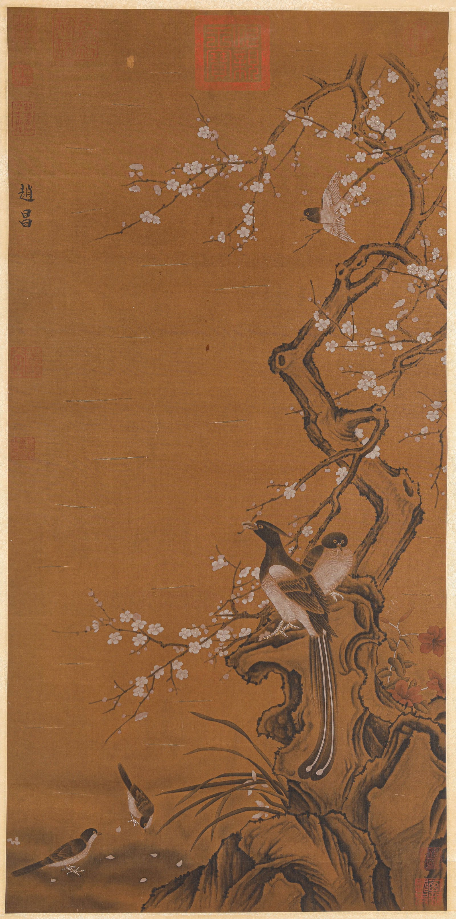 ZHAO CHANG (ACT. 11TH CENTURY), ATTRIBUTED TO, FLOWER-AND-BIRD (1 of 8)