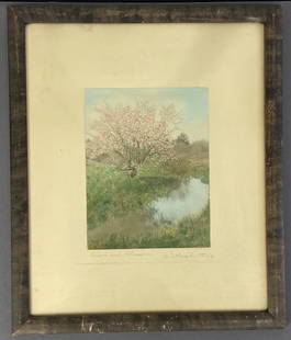 Brook and Blossoms by Wallace Nutting Signed Wallace Nutting hand tinted photograph signed in pencil: Wallace Nutting hand tinted photograph signed in pencil by Wallace Nutting, titled Brook and Blossoms. Some wear to frame. Artwork is 9 1/4 X 7 inches in size, frame is 15 1/2 X 18 3/4 inches in size.