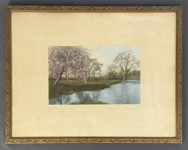 Blossom Cove by Wallace Nutting Signed Hand tinted photograph by Wallace Nutting, signed in pencil,: Hand tinted photograph by Wallace Nutting, signed in pencil, titled Blossom Cove. Artwork is 9 1/2 X 6 inches in size, frame is 17 3/4 X 14 inches in size. Please see images for details regarding cond