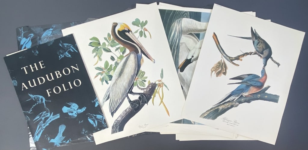Audubon Folio 1964, Bird Lithograph Set The Audubon Folio with booklet text by George Dock Jr, (1 of 10)