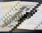 Antique Medical Book Rational Hydrotherapy Rational Hydrotherapy a Manual of the Physiological and
