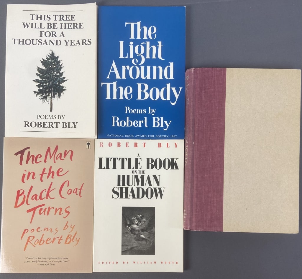 Robert Bly Books Set of Five The Man in the Black Coat Turns, published by Perennial Library, 1988 (1 of 13)