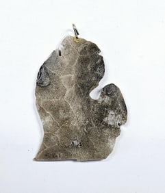 Michigan Petoskey Stone Necklace Pendant Pendant weighs 12.9 Grams
