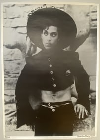 Prince Under the Cherry Moon Poster Poster featuring a black and white photo of Prince, labeled on