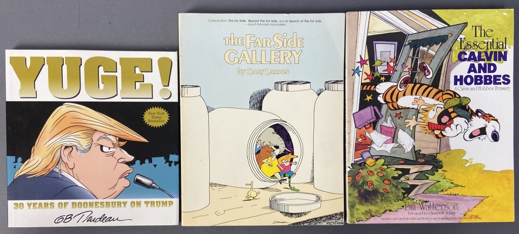 Comic Strip Books Doonesbury Far Side Calvin The Essential Calvin & Hobbes by Bill Watterson, (1 of 9)