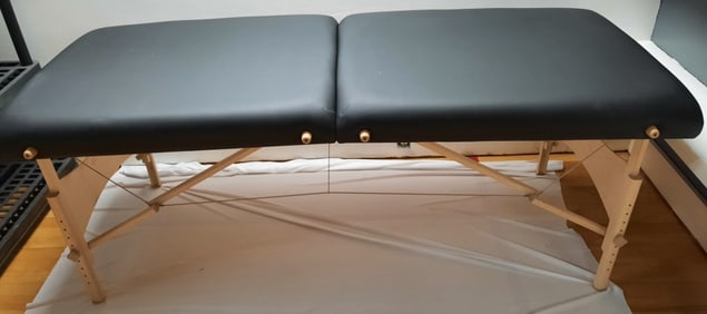 EarthLite Harmony DX Foldable Massage Table Q157255