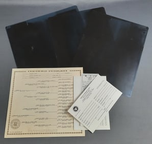 Trio of Dog X rays & Papers Please see images for details regarding the condition.