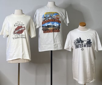 3 Harley Davidson Shirts Size Large White, grey, and beige Harley Davidson t shirts, size large. One