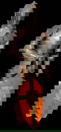 Suit of Armor with Shield Suit of armor on wooden frame, missing pelvis piece. Comes with orange